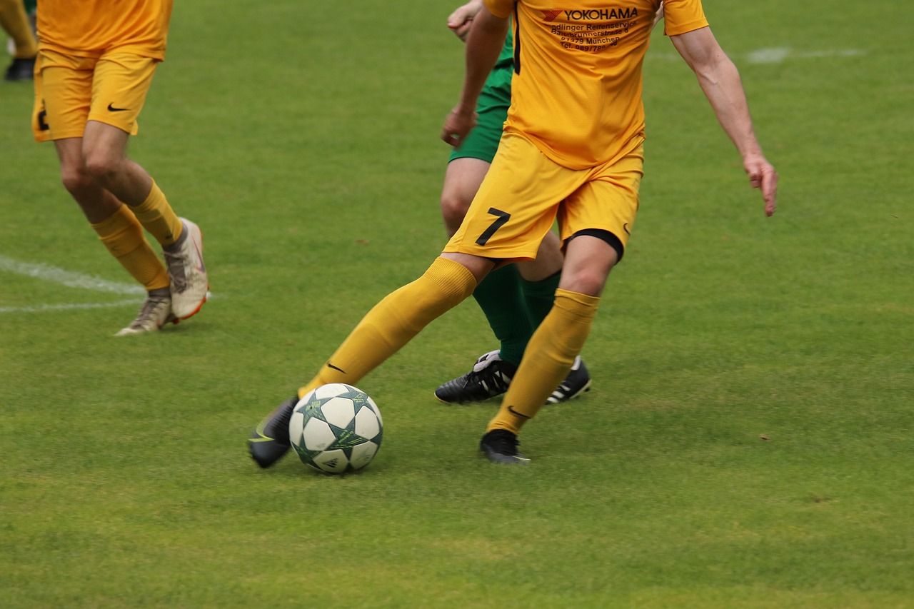 鲨鱼袭击 鲨鱼袭击